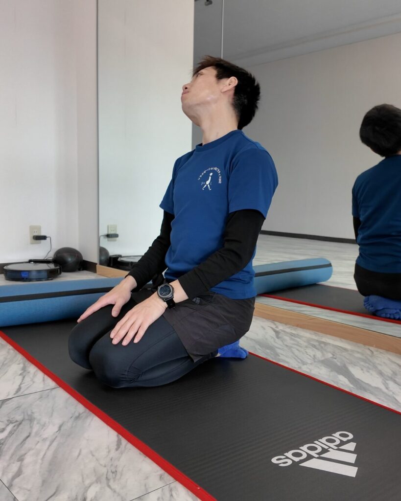 胸鎖乳突筋 解説図 17