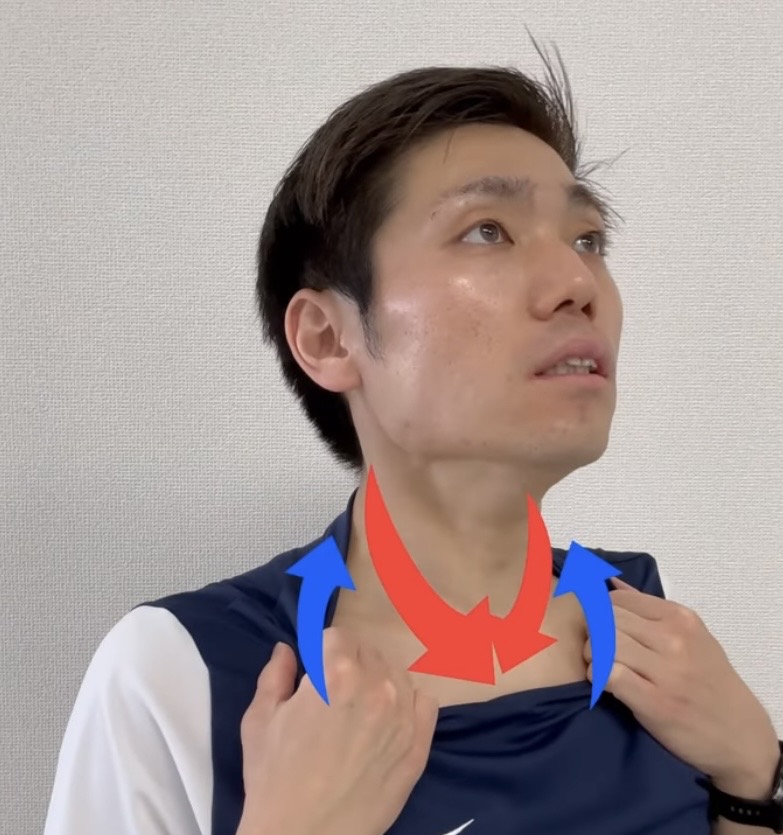 胸鎖乳突筋 解説図 8