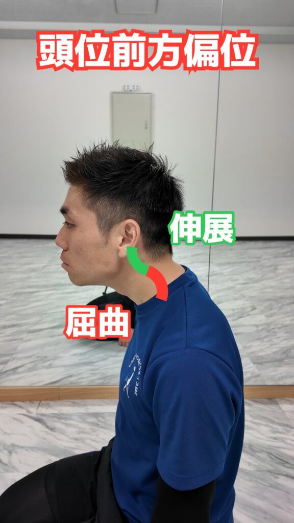 頭部と頸部の動き 解説図 16