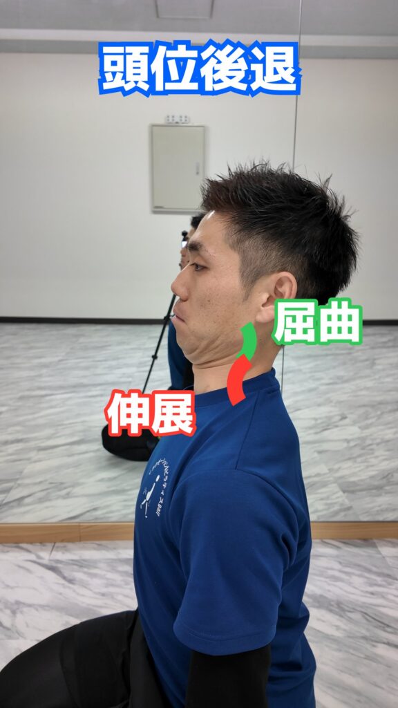 頭部と頸部の動き 解説図 17